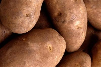 Batata O 5As