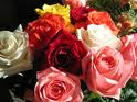 From Me To You