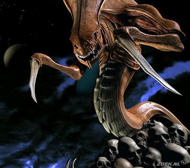 Which Starcraft Race Are You?