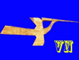 Phản Động Hay Dân Chủ