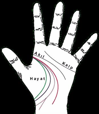 Hayat Ve Ölüm