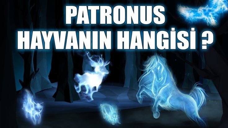 Patronus Hayvanın Hangisi?
