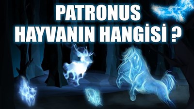 Patronus Hayvanın Hangisi?