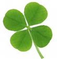 Luckyometer!