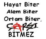 Çarşı