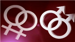 Es-Tu Homo Ou Hetero?