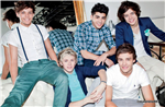 ¿Cual De Los 1D Te Gusta?