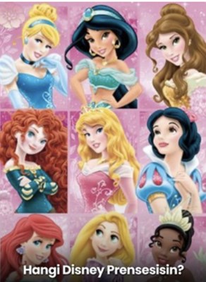 Hangi Disney prensesisin