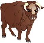 Hangi İçecehsin Gıııı