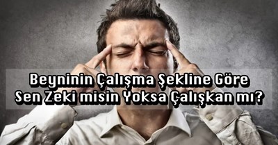 Zeki misin değil misin?
