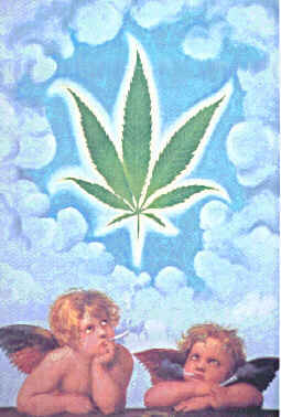 Weed Or No Weed ?