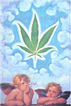 Weed Or No Weed ?