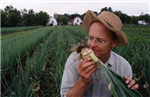 Are You A Farmer ?
