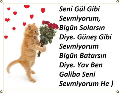 En Güzel Şiirler