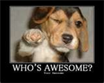 How Awesome Are You