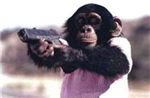 Luckymonkey Beta