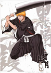 ¿Shinigami O Hollow?