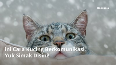 Kemiripan dengan hewan