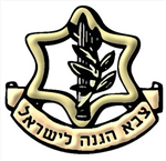 כמה אתה אוהב צבא?