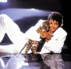 Do You Really Love Michael Jackson?