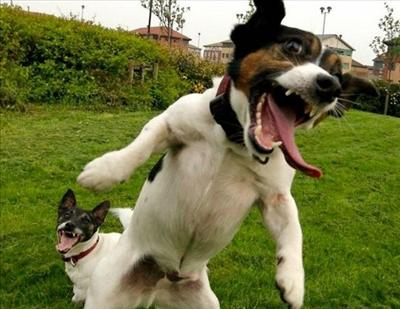 How Hyperactive Are You Today ?