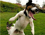How Hyperactive Are You Today ?