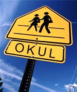 Hangi Okula Göresin