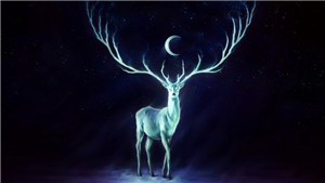 Quel Animal Spectral Es-Tu ?