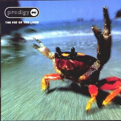 Best Song Of The Prodigy??