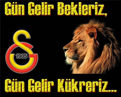Bir Ermiş Misin,Yoksa Budala Mı?