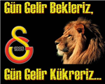 Bir Ermiş Misin,Yoksa Budala Mı?