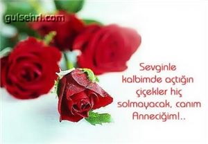 Sevgin Nereye Kadar?