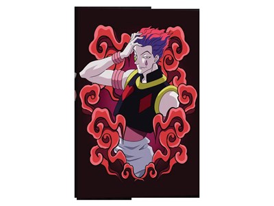Hisoka >:3