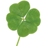 Are You Lucky?