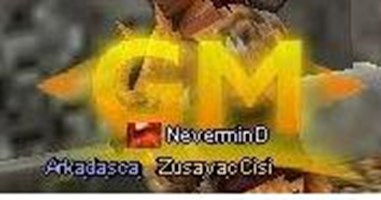 Ne Zaman Metin2'de "Gm" Olacaksın?