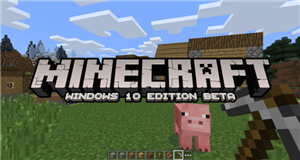 Que Tanto Sabes De Minecraft