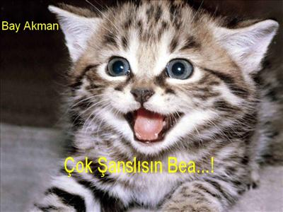 Şanslımıyım Şansızmı