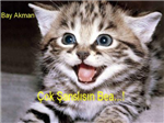 Şanslımıyım Şansızmı