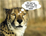 What Animal Are You?