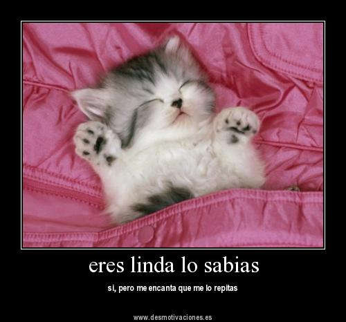 Que Tan Lindo Eres