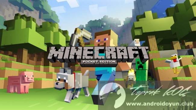Minecraftta Nesin