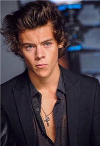 Harry Styles'ı Tanıyor Musun ?