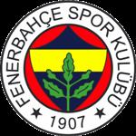 Türkiye Kupası