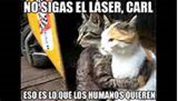 Que Animal Eres ?
