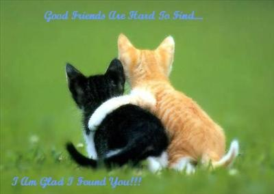 How Many Fb Friends Are Your Real Friends?