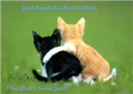 How Many Fb Friends Are Your Real Friends?