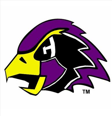 Are You A Strom Or A Hawk
