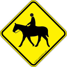 Horse Riding, Cruel Or Not Cruel