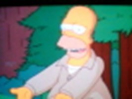 Test 123