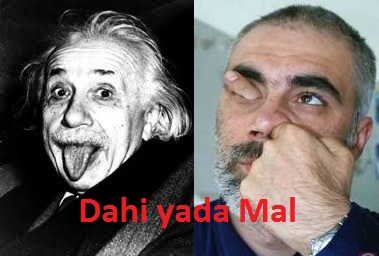 Ne Kadar Zekisin?